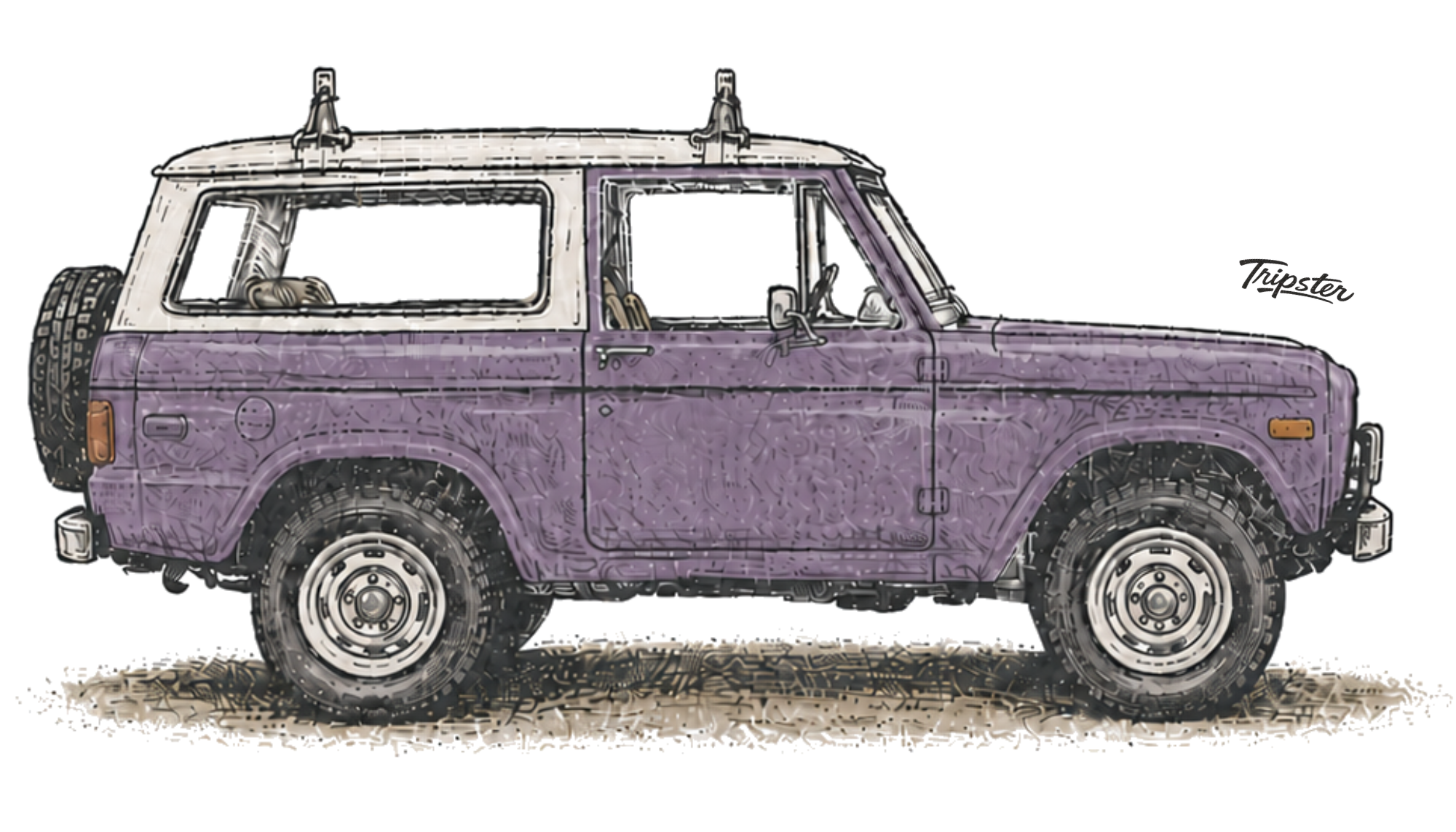 Purple Designs & Graphics