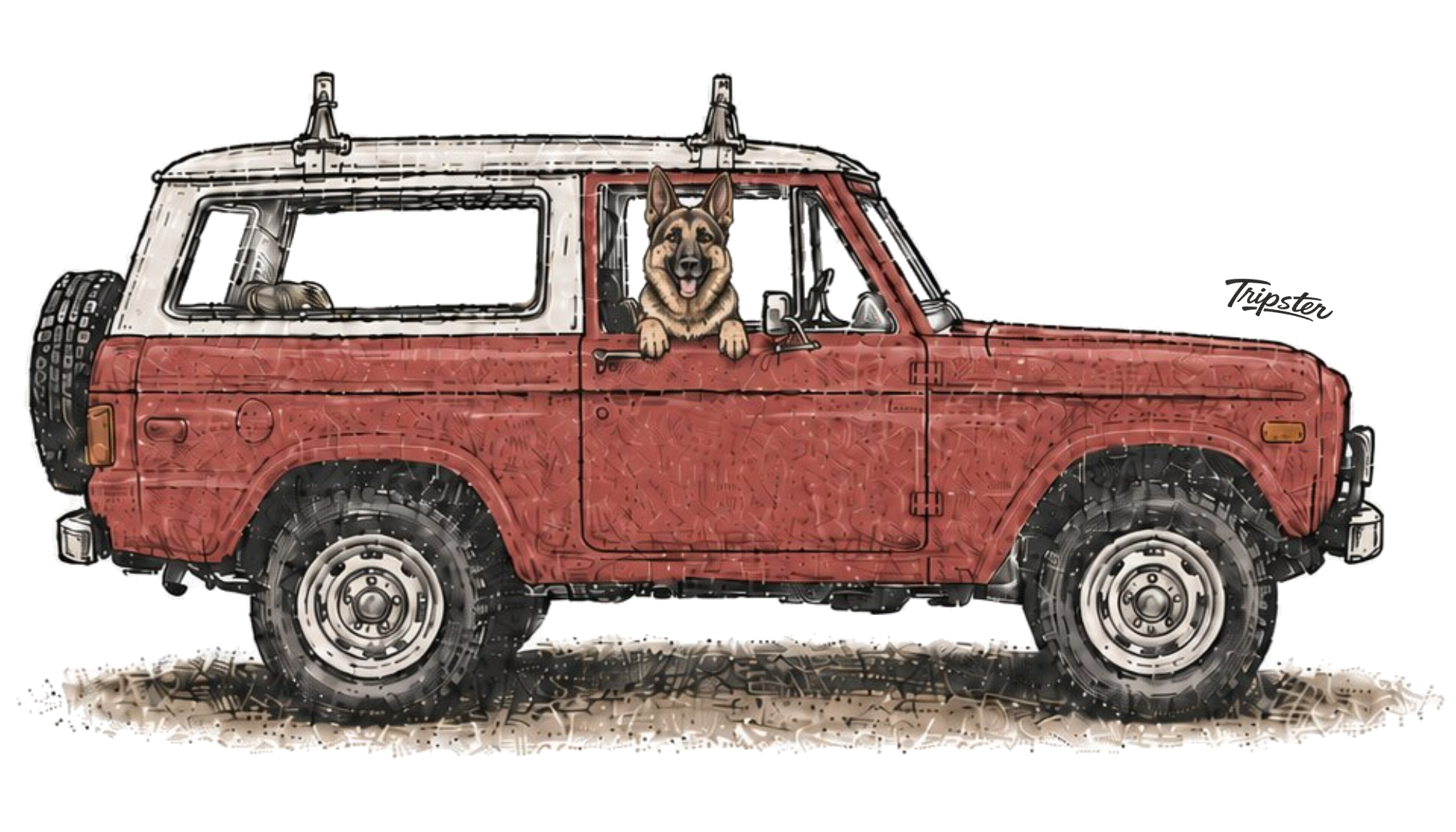Dogs